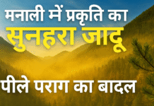 मनाली की हवा हो गई सुनहरी